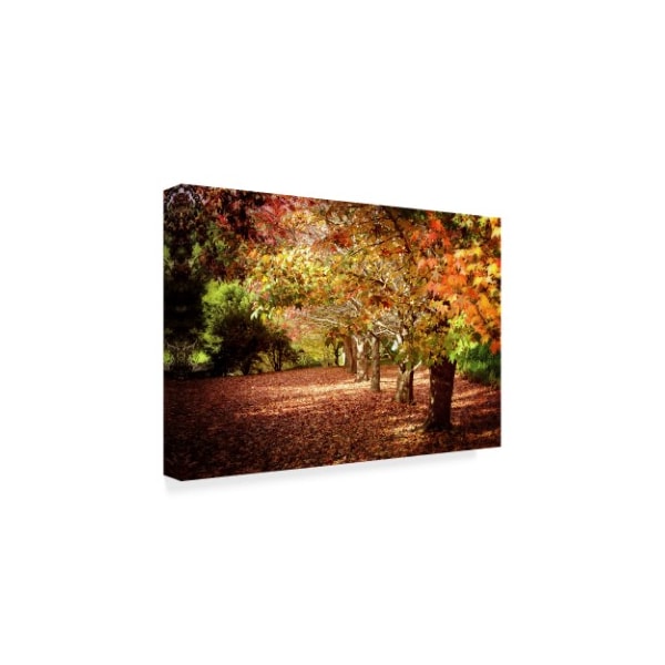 Incredi 'Autumn Walk' Canvas Art,16x24